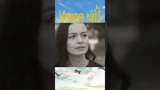 تصمیم گرفتن #shorts #yaralikuslar #woundedbirds