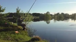 Поплавок утром на озере. Ловля подлещика