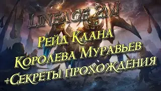 Lineage 2M - Рейд АК в 10 человек, Королева Муравьев, АК, Секреты прохождения, l2m