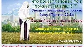 Что посеешь, то и пожнешь