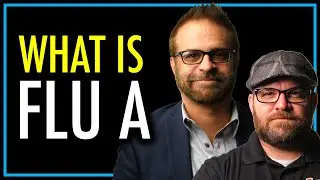 What is Flu A? | Influenza A | theSITREP