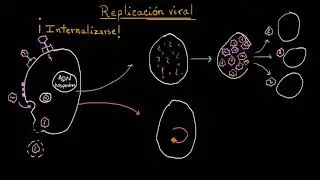 Replicación viral: lítico y lisogénico | Khan Academy en Español