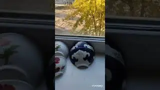 Кот разбил две пиалы😕😭