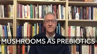 Mushrooms as Prebiotics, Food as Information