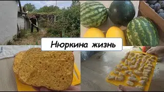 Один день из жизни //Нюркина жизнь