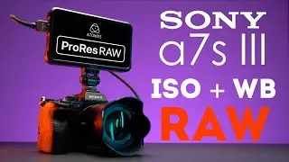 Sony a7s iii ProRes RAW Atomos Ninja V ISO and WB review and comparison