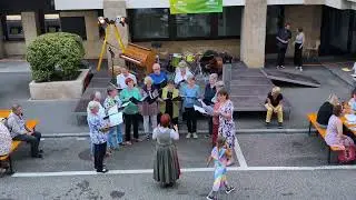 Freizeit-Jodel-Chörli Pro Senectute, Schaffhausen