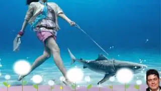 ♪.♪♫•*