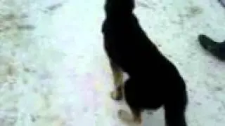 Карпов 3 сезон 10 серия