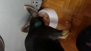 У нас снова ЧП...Сорри, что бросила вас🥺