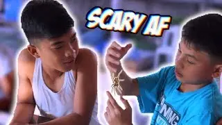 They chased me with my worst fear!!! (philippines vlog #42)