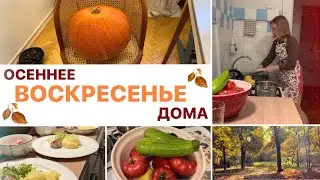 СЕРЕБРО НАШИХ ДНЕЙ❄️Множество домашних дел 🍁Простой ужин для всей семьи