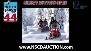 NSCD WFSC Auction promo