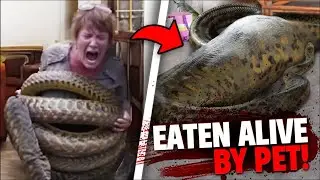These 3 Pets Ate Their Owners ALIVE In Front of EVERYONE!