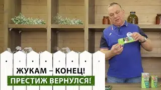 Суперсредство для избавления от колорадского жука! Чем обработать картофель перед посадкой?