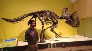 Dino Hunt Canada's bony co-star