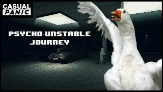 DON'T TOUCH MY GOOSE | Psycho-unstable Journey