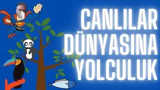 3.Sınıf Canlılar Dünyasına Yolculuk | Fen Bilimleri