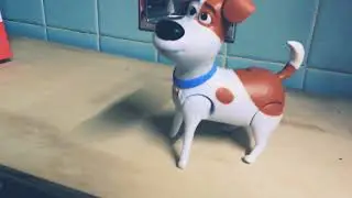 Pet