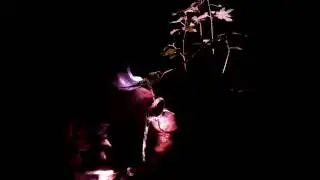 Водопад из старых горшков