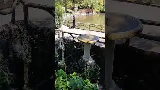 озеро в Авеиро,Португалия