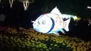 FISH FLOAT🐟🐟🐠