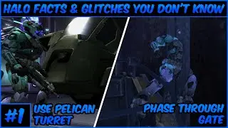 Halo Facts And Glitches You Don't Know
