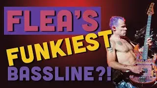🎸 Red Hot Chili Peppers - 'Mellowship Slinky' (Bass Cover) 🔥