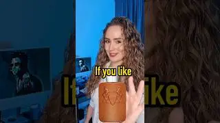 If You Like PDM Althaïr