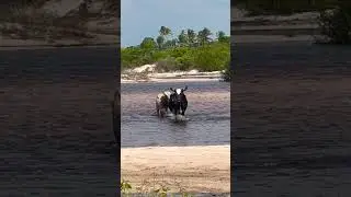 Santo Amaro do Maranhão