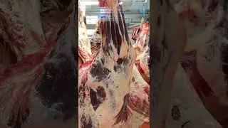 Meat 