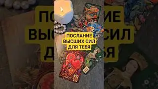 Послание Высших Сил для тебя #shorts