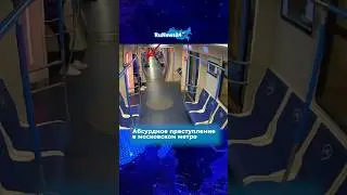 Абсурдное преступление в московском метро