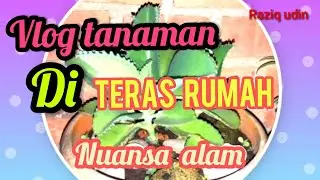 #Vlogtanaman