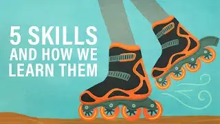5 Skills and How We Learn Them