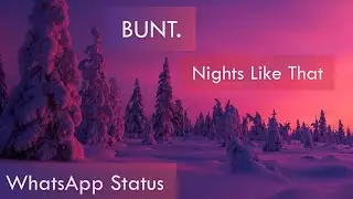 Nights Like That - New English Song WhatsApp Status Full Screen Lyric Video