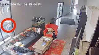 Le telecamere di sicurezza riprendono i ladri. Ma guardate il cane cosa fa!