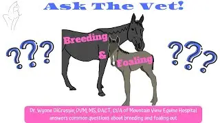 ASK The Vet! Breeding & Foaling