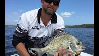 REEL IT IN - Bream On Hardbodies
