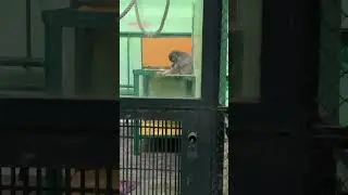 Этот мир абсолютно понятен)
