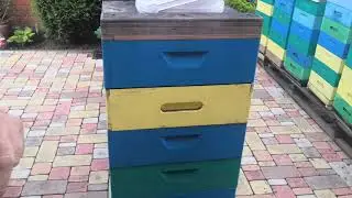 Альпийский улей, формирование нуклеуса по методу Хомича