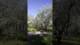 17 мая 2023 г.