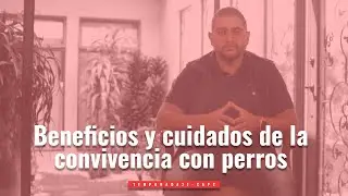 Beneficios y cuidados de la convivencia de los niños con los perros