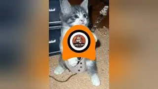 dupstep extreme xd