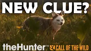 New FOX SPECIES Coming???  New GREAT ONE??? - Call of the Wild