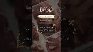 Surah Baqara Verse 172-173 Translation in Urdu #quran #reciters #naatspk