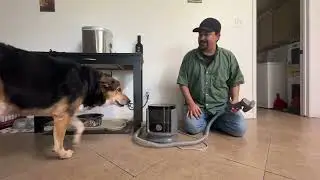 Flexispot 9 in 1 pet grooming Vacuum