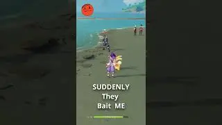 Baits ....  