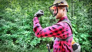 OFF-GRID - A Day In My Life | Building a Road in the Forest!