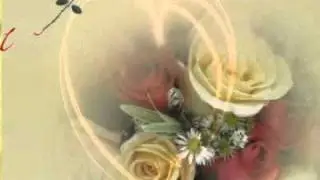 CHRIS NORMAN -FOR YOU